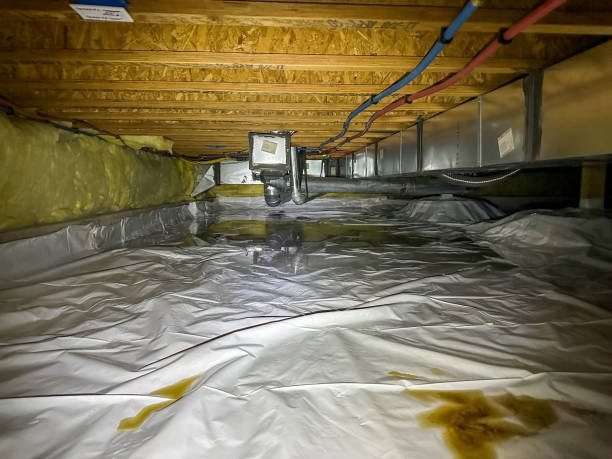 Crawlspace Encapsulation Maintenance Tips for Longevity