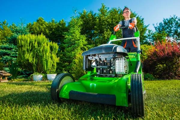 Reliable Lawn Care Service That Keeps Grass Lush